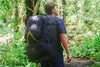 Nomad 80L RPET wheel travel backpack