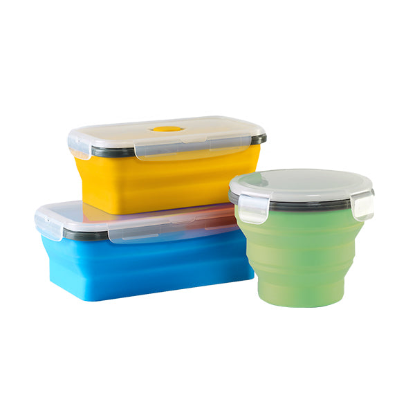 Collapsible Container (M)