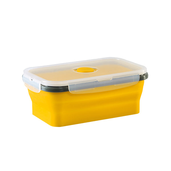 Collapsible Container (M)